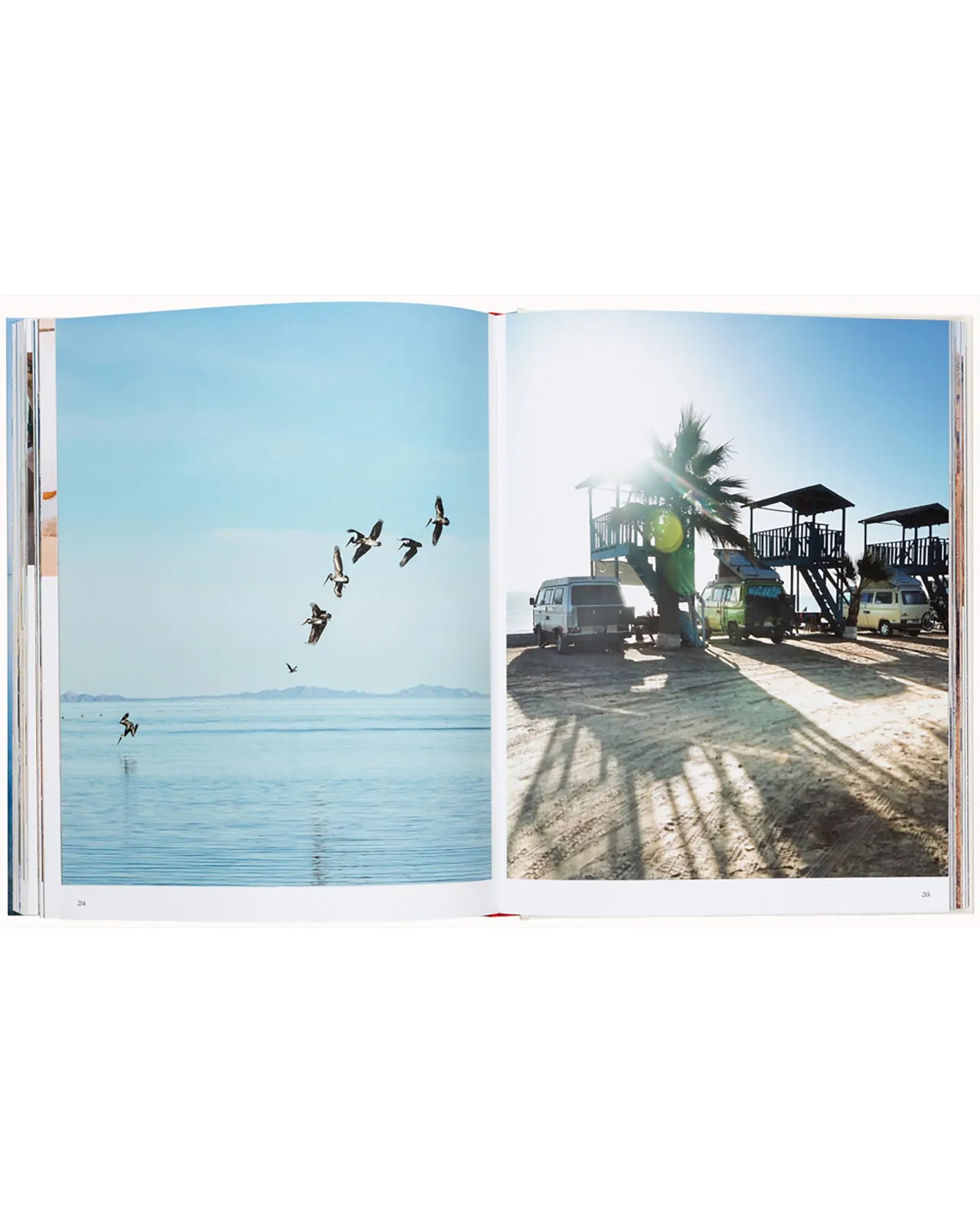 die_ausreier_8.webp Store Die Ausreißer Bücher & Zeitschriften