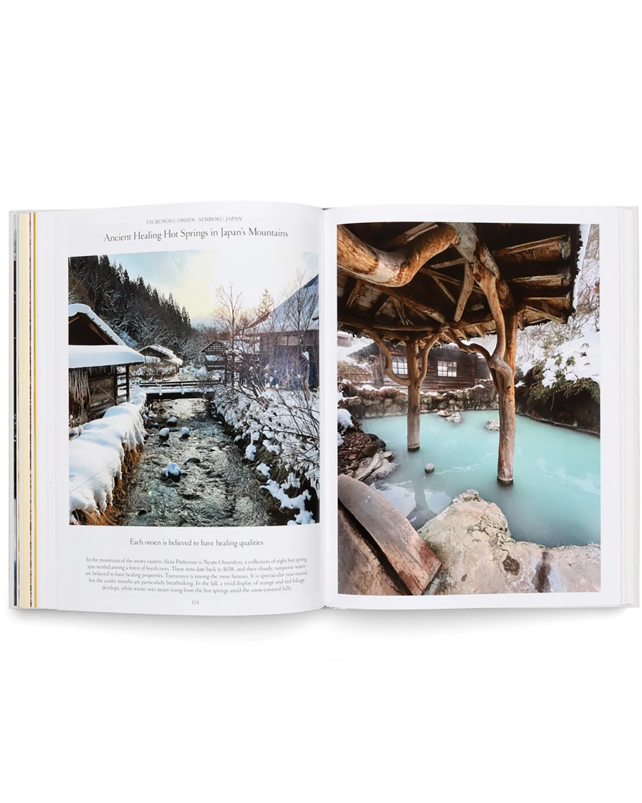 the_nature_of_swimming_7.webp Outlet The Nature of Swimming Bücher & Zeitschriften | Accessoires